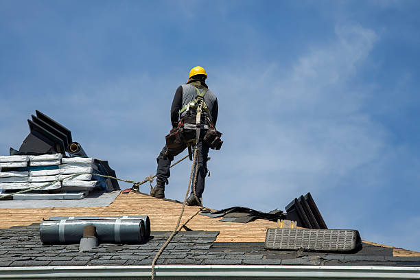 Professional Gutter Installation technician working in Royalton, MN